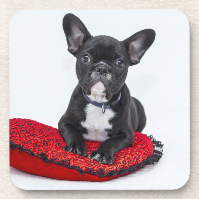 Dessous-de-verre Adorable Black and White Bulldog Puppy Photo (Devant)