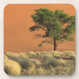 Dessous-de-verre Afrique, Namibie, Parc national du Namib, Sossusvl