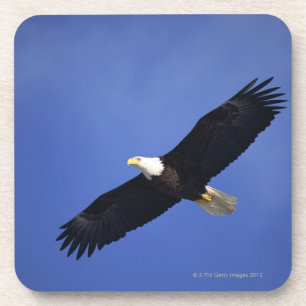 Dessous-de-verre Aigle chauve montant, Alaska