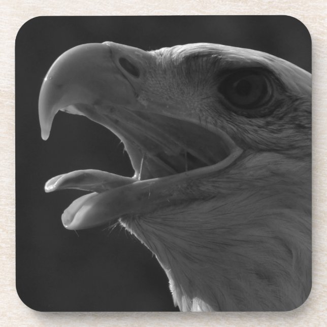 Dessous-de-verre Aigle noir et blanc (Devant)