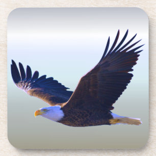 Dessous-de-verre Aigle volant