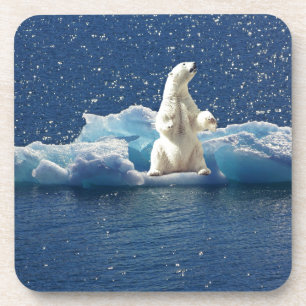 Dessous-de-verre Ajouter SLOGAN pour sauver les ours polaires Planè