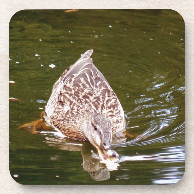 Dessous-de-verre Alimentation Cute Duck (Devant)