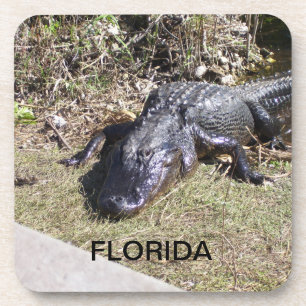 Dessous-de-verre Alligator de Floride se prélassant au soleil chaud