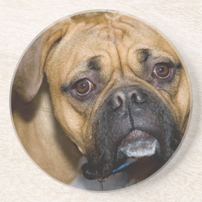 Dessous de verre américains de chien de boxeur (Devant)