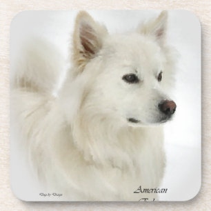 Dessous-de-verre American Eskimo Dog Art