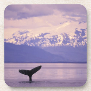 Dessous-de-verre Amérique du Nord, États-Unis, Alaska, Passage inté