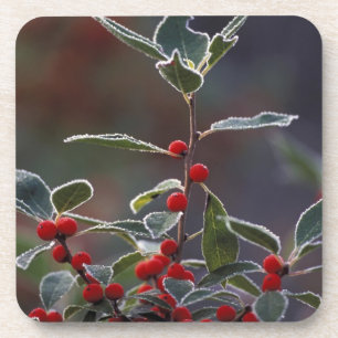 Dessous-de-verre Amérique du Nord, États-Unis, Nouvelle-Angleterre.