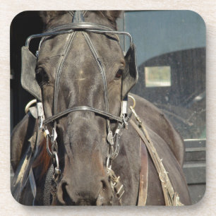 Dessous-de-verre Amish Buggy Horse