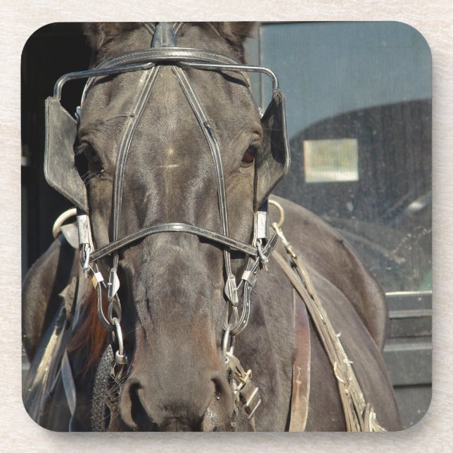 Dessous-de-verre Amish Buggy Horse (Devant)