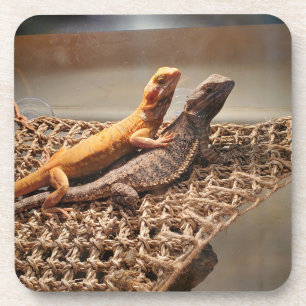 Dessous-de-verre Amour Sisterly