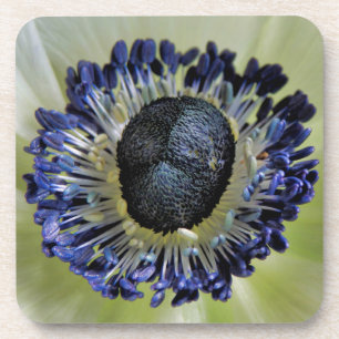 Dessous-de-verre Anemone Mistral Panda