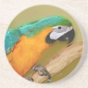 Dessous de verre animal de perroquet bleu or macaw