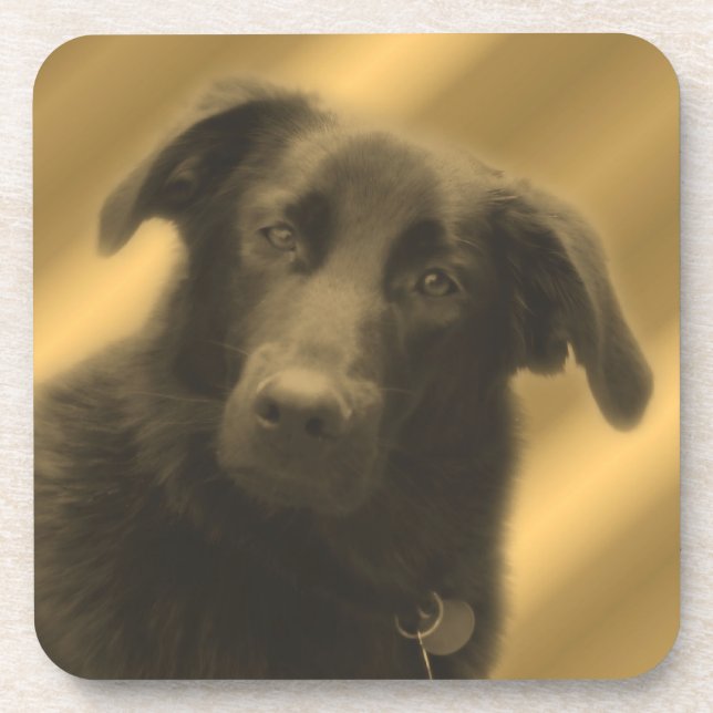 Dessous de verre animal des yeux de chien d'âmes (Devant)