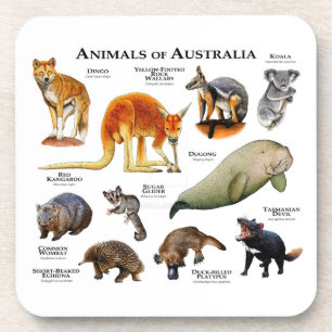Dessous-de-verre Animals of Australia