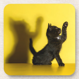 Dessous-de-verre Animaux de bébés cutest   Black Cat Jouer