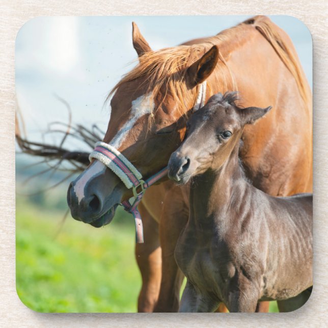 Dessous-de-verre Animaux de bébés cutest | Black Foy avec maman (Devant)