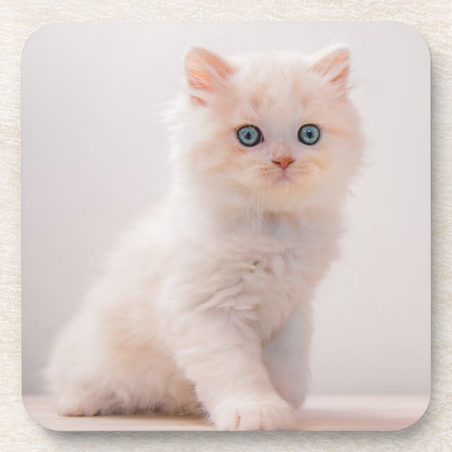 Dessous-de-verre Animaux de bébés cutest | Blue Eye Kitten (Devant)