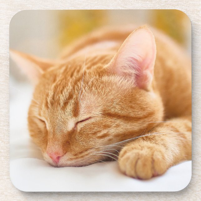 Dessous-de-verre Animaux de bébés cutest | Chat de gingembre dorman (Devant)