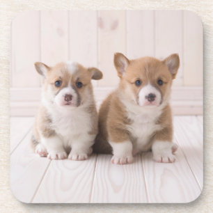 Dessous-de-verre Animaux de bébés cutest   Deux Bébés Corgis assis