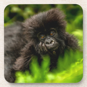 Dessous-de-verre Animaux de bébés cutest Gorille des Montagnes In