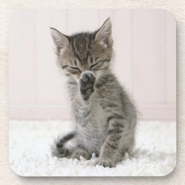 Dessous-de-verre Animaux de bébés cutest | Licking Tabby Kitten (Devant)