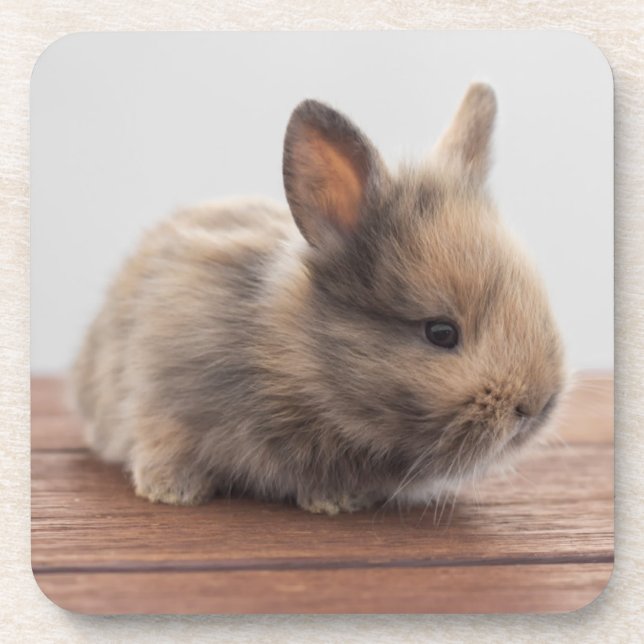 Dessous-de-verre Animaux de bébés cutest | Petit lapin bébé (Devant)