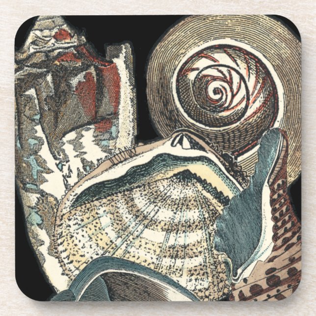 Dessous-de-verre Anthologie des coquillages (Devant)