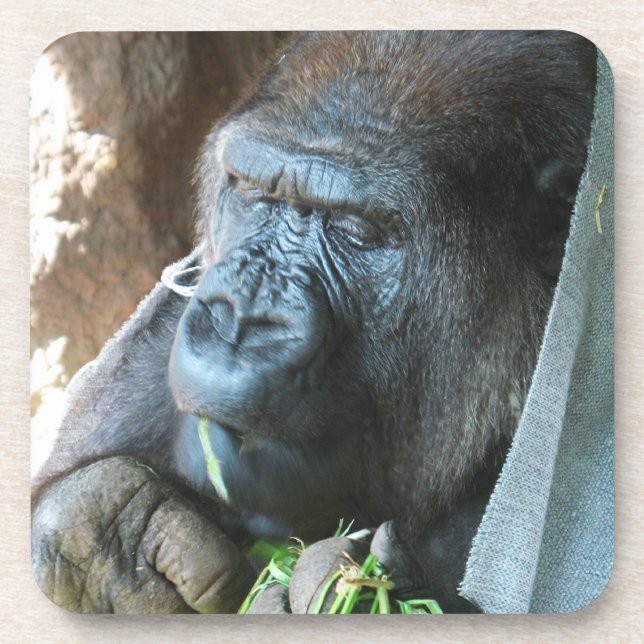 Dessous-de-verre Ape hood ~ Japonais Gorilla Manger (Devant)