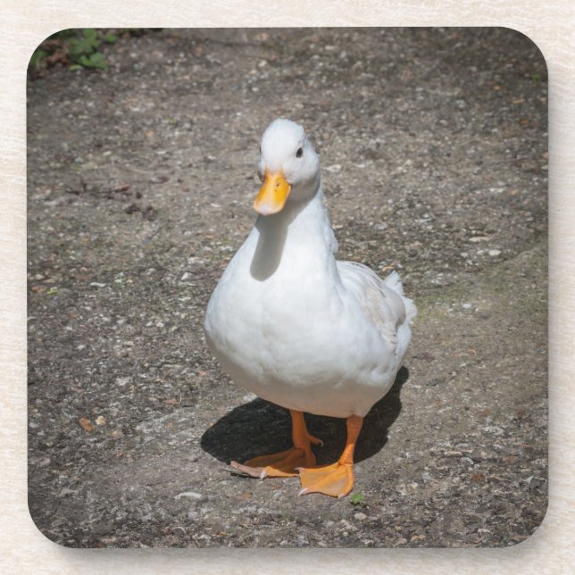 Dessous-de-verre Appeler canard (Devant)