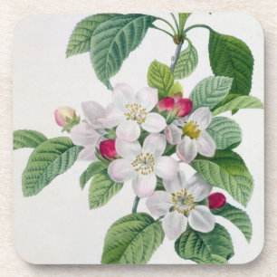 Dessous-de-verre Apple fleurissent, du 'DES de Les Choix plus des