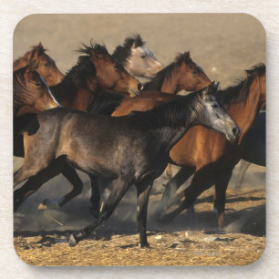 Dessous-de-verre Arabes courant dans le désert