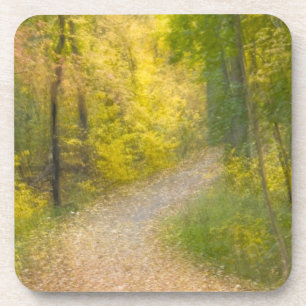 Dessous-de-verre Arbres aux couleurs d'automne et chemin couvert de