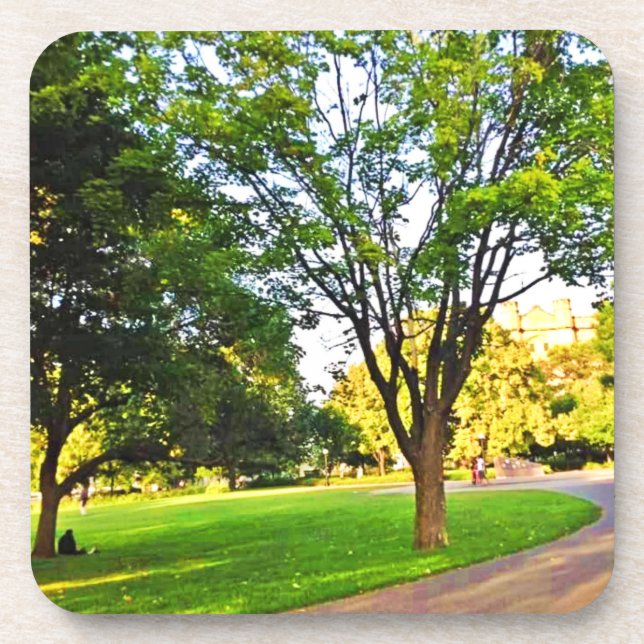 Dessous-de-verre Arbres Dans Le Parc D'Ottawa. Acheter maintenant P (Devant)