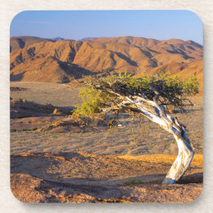 Dessous-de-verre Arbres Et Terres Désertiques, Richtersveld