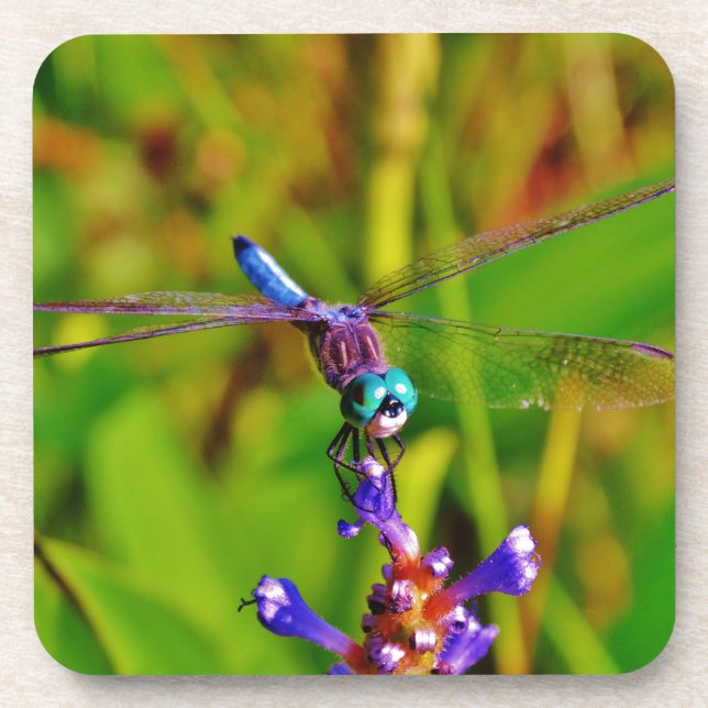 Dessous-de-verre Arc en ciel libellule et fleur (Devant)