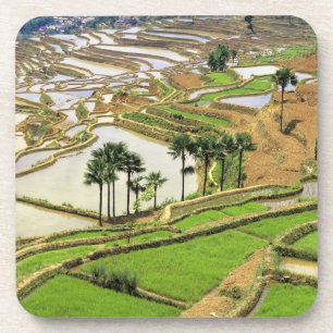 Dessous-de-verre Asie, Chine, Yunnan, Honghe. Terrasses de riz à p