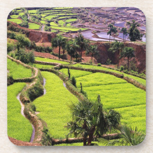 Dessous-de-verre Asie, Chine, Yunnan, Honghe. Terrasses de riz prè