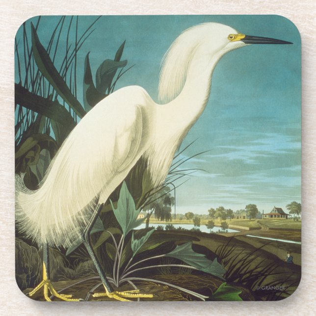 Dessous-de-verre Audubon : Aiguille (Devant)