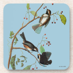Dessous-de-verre Audubon : Chickadee