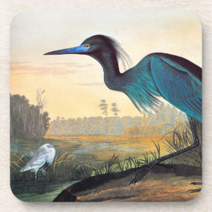 Dessous-de-verre Audubon : Héron de petit bleu