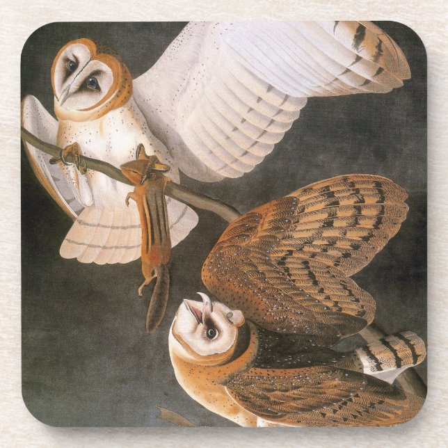 Dessous-de-verre Audubon : Hibou de grange (Devant)