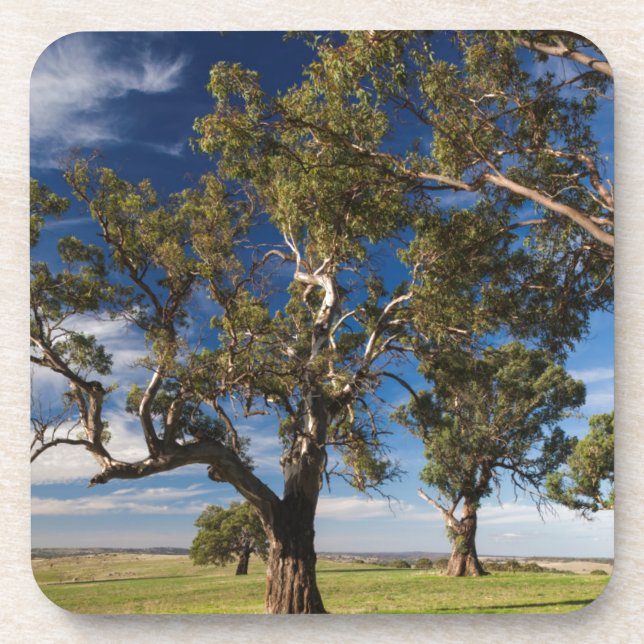 Dessous-de-verre Australie, vallée de Barossa, Mont Pleasant (Devant)