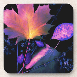 Dessous-de-verre Autumn Leaves