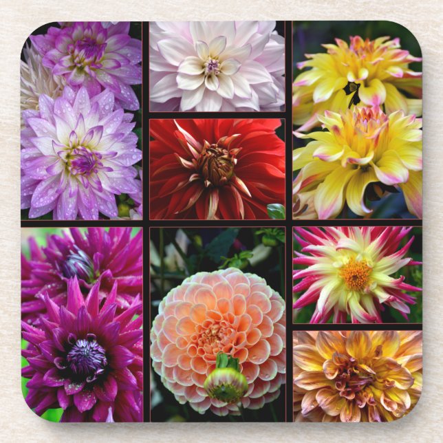 Dessous de verre avec de belles dahlias multicolor (Devant)
