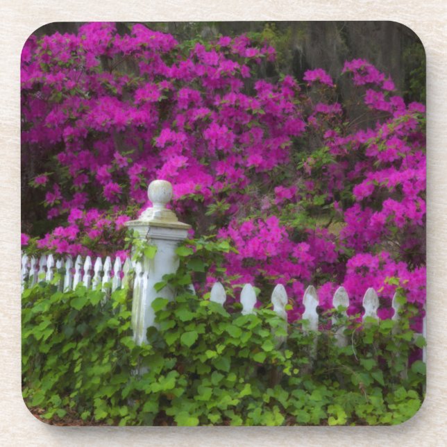 Dessous-de-verre Azaleas au printemps à l'île historique de l'espoi (Devant)