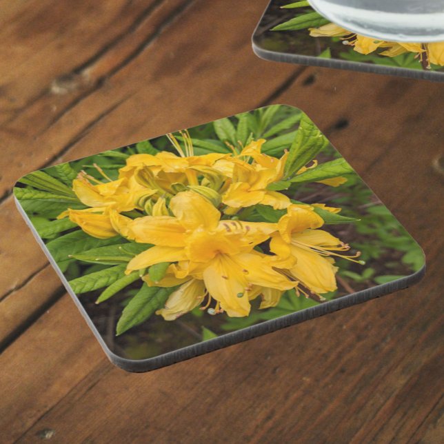 Dessous-de-verre Azalée Jaune Fleurit Floral Beveral Coaster (In Situ)