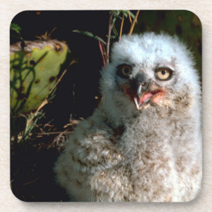 Dessous-de-verre Baby Great Horned Owl
