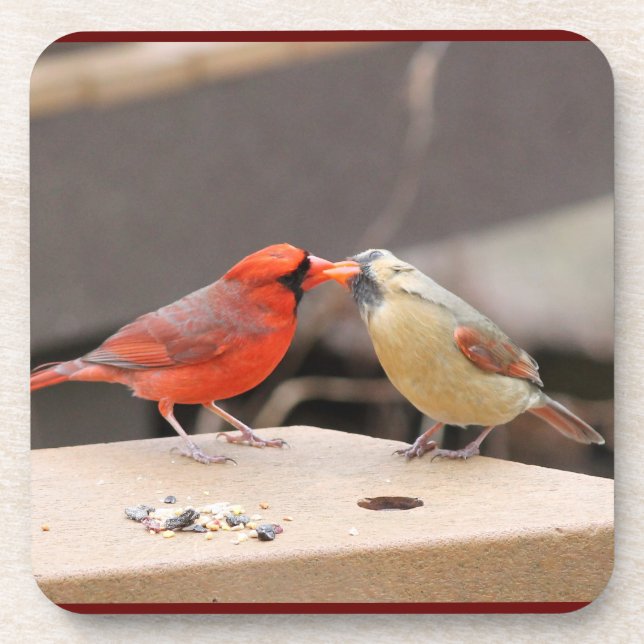 Dessous-de-verre Baiser les cardinaux (Devant)
