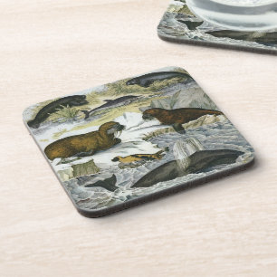 Dessous-de-verre Baleines, phoques et morses, animaux marins vintag